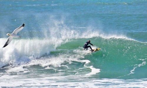 surf 1